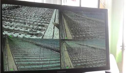 榆林市吴堡县大棚基地监控安装项目